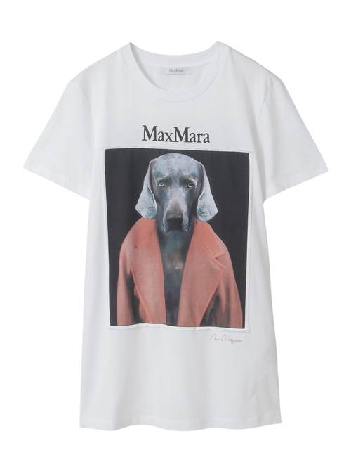 ピュア コットン ジャージー Tシャツ 詳細画像 ダークピンク 5